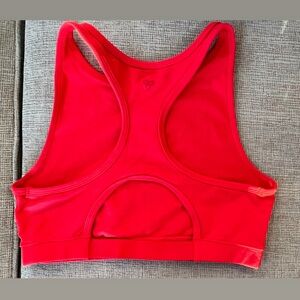TNA Aritzia sport bra